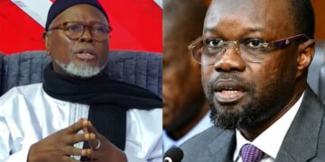 Alioune Tine : « Paradoxalement, Pastef divisé distribue les rôles et les pouvoirs… »