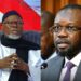 Alioune Tine : « Paradoxalement, Pastef divisé distribue les rôles et les pouvoirs… »