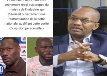Le Sénégal ou l&rsquo;art de tendre le bâton pour se faire battre, (Par Mamoudou Ibra Kane)