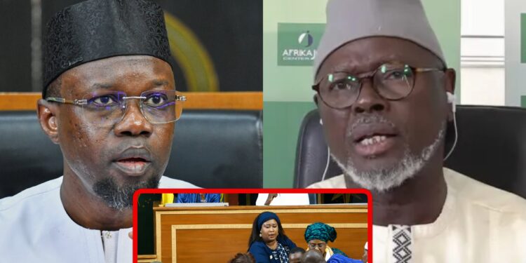 Révision de la Constitution : Alioune Tine dénonce « grand gâchis politique, démocratique et social »