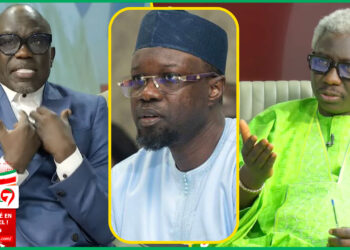 (Video) « Loutax Fane Yi Say Analyses Favorables SONKO »: découvrez la réponse surprenante de Cheikh Yerim Seck à Pape Ngagne Ndiaye