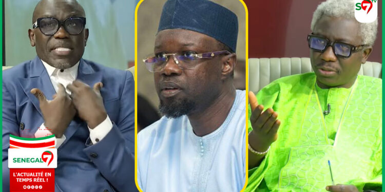 (Video) « Loutax Fane Yi Say Analyses Favorables SONKO »: découvrez la réponse surprenante de Cheikh Yerim Seck à Pape Ngagne Ndiaye