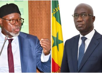Dialogue autour de la révision constitutionnelle : Alioune TINE en phase avec le ministre de la justice