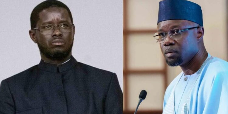 "Taupe de Diomaye" : Des responsables de Pastef-France accusent un ex-ministre Pro-Sonko