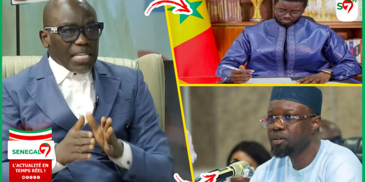 (Video) « Rew Ken Douko Gouverné Té Amo Majorité… Motion De Censure… SONKO » Cheikh Yerim Seck prévient DIOMAYE dans Faram Facce