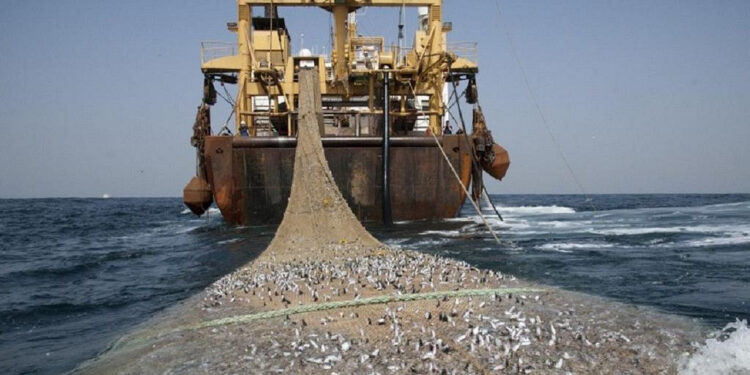Sénégal Pêche : six ans après le licenciement de plus de 800 employés, le conflit s’enlise