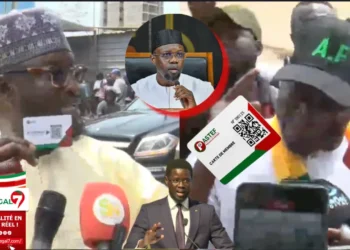 Réactions musclées de Abass FALL et le député Omar B. DIOP après l’annonce du Parti de Diomaye (Vidéo)