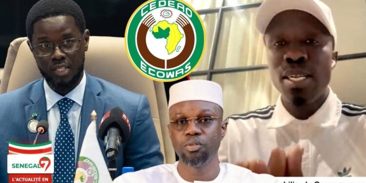 Diomaye à la tête de la CEDEAO: Abdou Nguer dit ses vérités « Sonko Bou Nékone PM Ba légui Diomaye Dou… » (Vidéo)