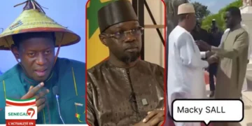 « Ousmane Sonko est le grand perdant sur le retrouvaille Diomaye-Macky » Arona Niang (Vidéo)