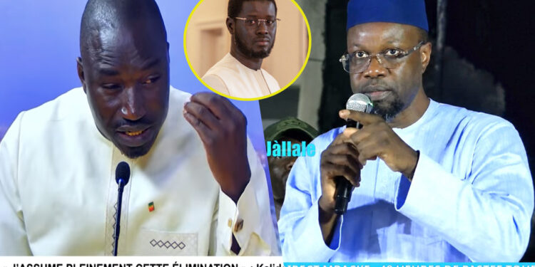 La réplique salée de Bougar Diouf à Sonko « La caisse noire n&rsquo;appartient pas à Diomaye… » (Vidéo)