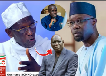 (Vidéo) – Accusation de Madiambal contre Waly Diouf et Sonko : La réaction inattendue de Doudou WADE