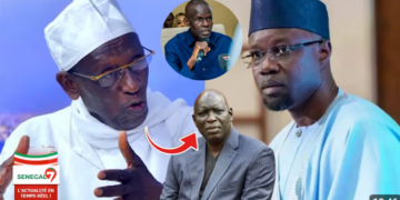 (Vidéo) – Accusation de Madiambal contre Waly Diouf et Sonko : La réaction inattendue de Doudou WADE
