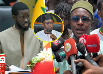 Création du parti de Diomaye : Cheikh Bara Ndiaye lâche une exclusivité « Limou Wax Maire Yi Démb Palais… » (Vidéo)
