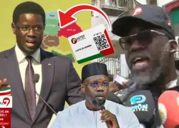 Diomaye crée son PARTI : Réaction à chaud de Fadilou Keita « Koum Nékh Nga créé sa parti wayé… » (Vidéo)