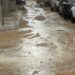 Hivernage : Dakar enregistre ses premières pluies