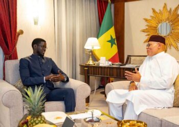 Qatar : Tête-à-tête entre le Président Bassirou Diomaye Faye et Karim Wade