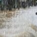 Hivernage : Des orages accompagnés de pluies attendus cette soirée dans plusieurs localités