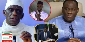 Nommé Pdt du CC : Mame M. Jamra lâche une exclusivité sur Ousmane Diagne « Mom Bokone Na Si… » (Vidéo)