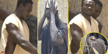 Parcelles – La première apparition de Niang Ballo (Vidéo)