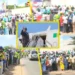 Retour de Macky après 2 ans d’absence, Une foule gigantesque à l’aéroport LSS (Vidéo)