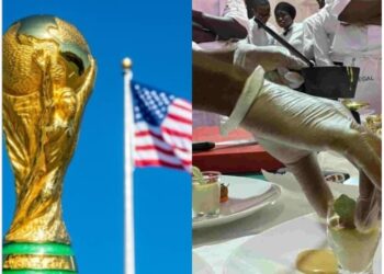Délégation des Lions aux USA : le chef cuisinier accusé de h@rcelem€nt s€xuel