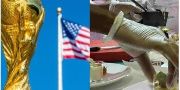 Délégation des Lions aux USA : le chef cuisinier accusé de h@rcelem€nt s€xuel
