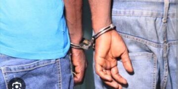 Trafic de dr0gu€ : deux individus déférés après une opération de la SU de Mbour