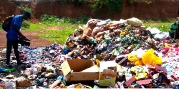 Kolda : 18 tonnes de produits impropres à la consommation saisis et incinérés