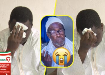 Vidéo | Cérémonie de prières à Touba : Le témoignage de Serigne Modou Habib Mbacké sur Serigne Abdoul Bakhy Mbacké