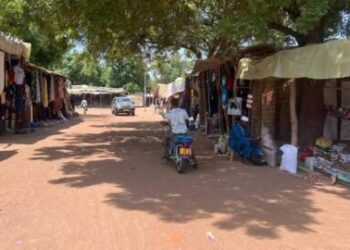 Ghana: une figure de l’opposition condamnée à 20 ans de prison pour exploitation minière illégale