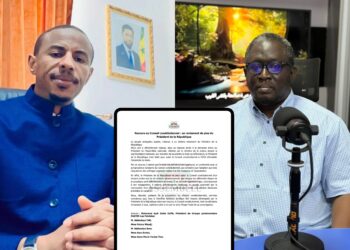 Diomaye accusé de reniement : Aldiouma Sow dézingue Ayib Daffé et les députés de Pastef