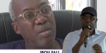 « Pour moi, Pastef est mort » : le journaliste Ibou Fall se lâche