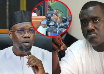 Moussa Tine « corrige » Sonko : » La loi ne s’applique pas en fonction des humeurs des gens… »