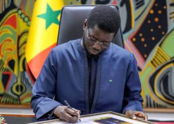 Constitution: le Président gardien, la loi préservée, (Par Khady Saliou Sene PDS Diaspora)