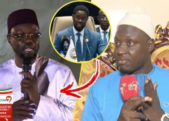 Vidéo | Sortie de Sonko à Touba : Dr Serigne Modou B. Dieng en colère : « C'est de moi qu'il faisait allusion... Dafa Yébaté »