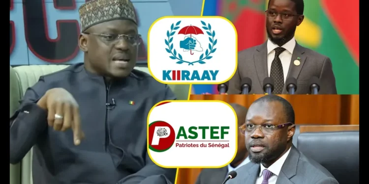 « KIIRAAY va devenir la première force politique au Sénégal… » Bara Gaye provoque Sonko et Pastef (Vidéo)