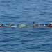 Chavirement d’une pirogue en Casamance : huit pêcheurs portés disparus