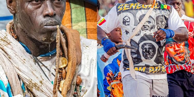 Niang Ballo–Prince : un duel de guerriers ficelé par Jambars Production