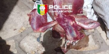 HLM Biscuiterie : Un individu interpellé pour abattage clandestin