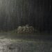Hivernage : Des orages et pluies attendues dans certaines localités, ce mercredi