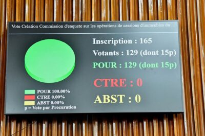 Gestion des affaires publiques : L’Assemblée nationale valide la création de six commissions d’enquête
