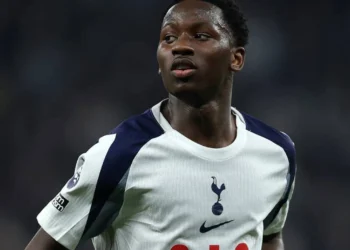 Premier match de PL : Pape Matar Sarr forfait pour la rencontre Tottenham – Brentford, prévue ce dimanche