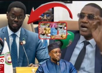 (Vidéo) « Kén Lékoul, Kén nanoul, lepp Yokkou » : Dr Diallo crache ses dures vérités et interpelle Diomaye