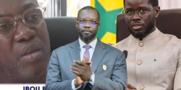 Commissions d&rsquo;enquête : « A la place de Diomaye, je dirais aux ministres de ne pas répondre… », (Ibou Fall)