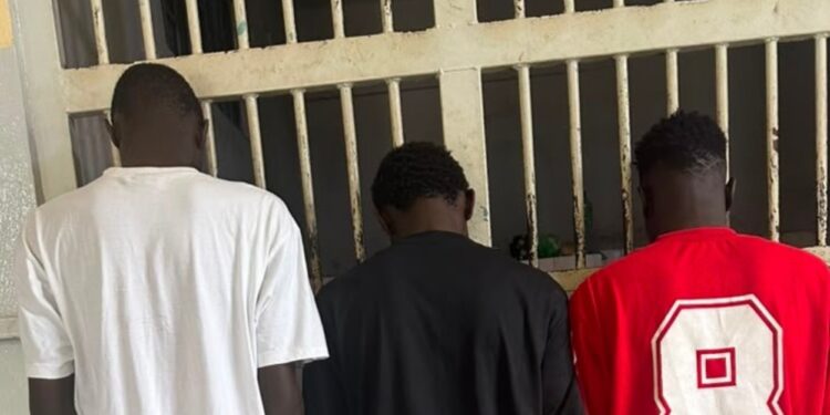 Colobane : Trois @gress€urs arrêtés par la Police de la Médina