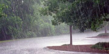 Situation météorologique : des pluies et orages attendus dans plusieurs localités