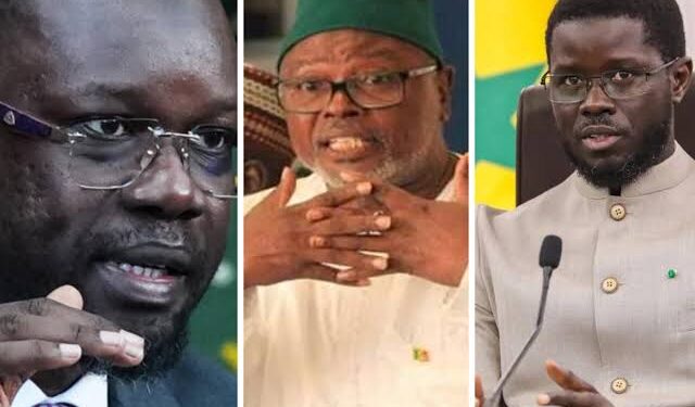 Après la décision des « 7 Sages » : Alioune Tine invite Diomaye et Sonko à dialoguer