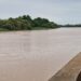 Fleuve Gambie : forte remontée du niveau d’eau à Kédougou