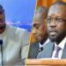 Aldiouma Sow (Kiiraay) pilonne PASTEF et l’Hémicycle
