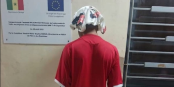 Ziguinchor : démantèlement d’un réseau de traite des personnes !